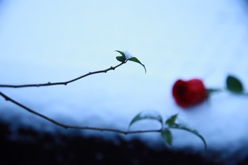 714D13EA-9719-4DF9-8739-91E247DD7157/L0/001