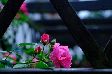 15FBC3B0-7D37-48B5-B755-921C9061031F/L0/001