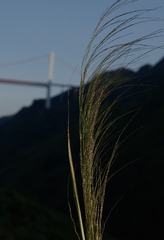 29603682-17F7-4E4C-BDFA-633161B99751/L0/001