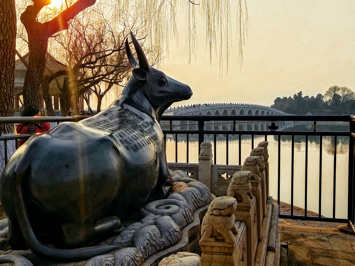 你了解颐和园的铜牛吗