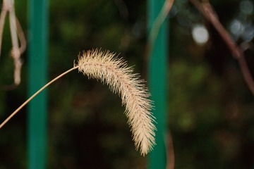 85F590E8-157C-4352-B2BA-9BF0038CD975/L0/001