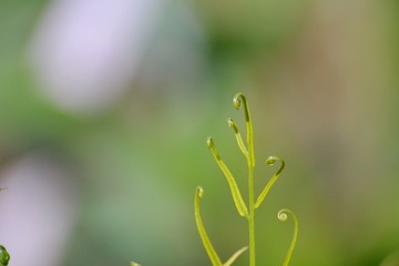 BB494627-85C4-4B61-A3CB-548617EE2B37/L0/001