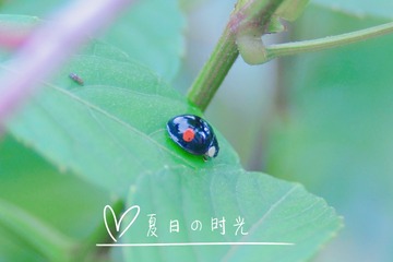 96C38C86-08A2-4783-8B1E-6920BC86F0D6/L0/001