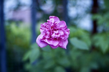 CA9341EF-160E-45E8-BD6B-2A66E5BC742C/L0/001