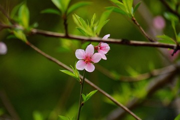 27116715-A7A1-49BD-803A-B9AD6455AA61/L0/001