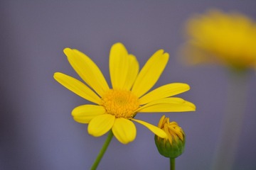 37FA2D08-B1F4-4867-8AE2-0054E72D4D63/L0/001