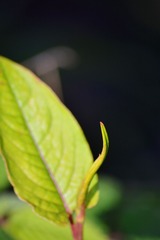 342F2393-62C6-4B07-9517-6E89DDB0F2C1/L0/001