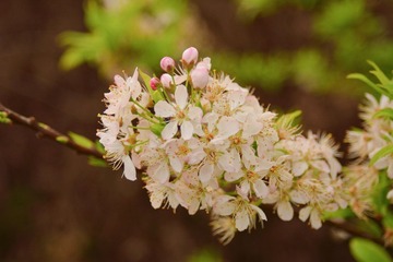 6F57AECE-5257-4414-B286-2D70E1953933/L0/001