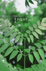 594CEF74-2E7E-413D-846A-6CD40EB0E433/L0/001