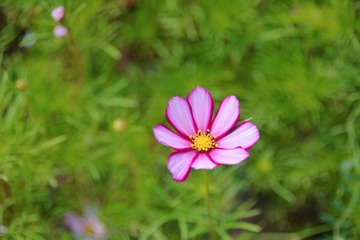 9D953B83-B1F6-43EA-80F6-8654685005B5/L0/001