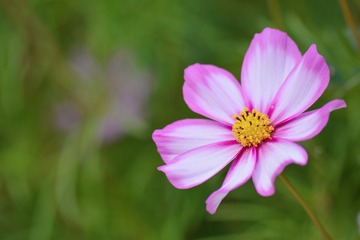 5D25579C-7724-47E5-A2CF-7640408AB707/L0/001
