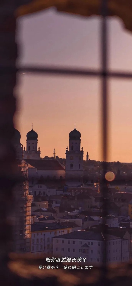 生活美景植物花束意境高清全屏壁纸