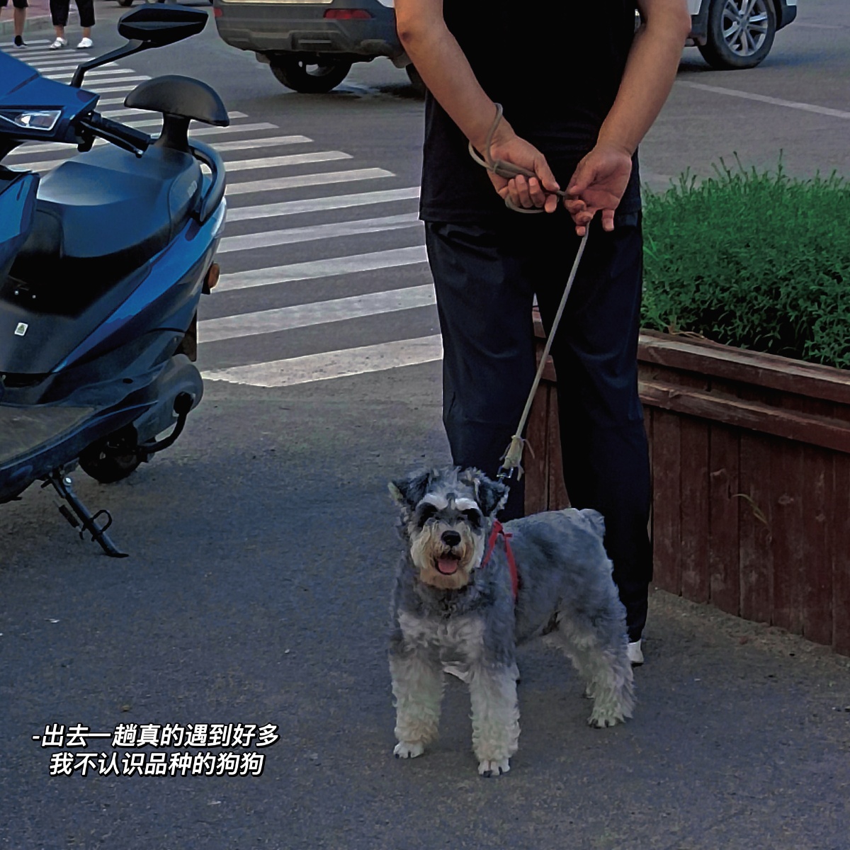 听着狗哨统一悲喜做新时代巴甫洛夫的狗676767