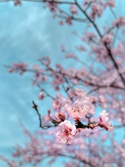 F228DDCF-6D86-4811-9A5D-6FAC0CB1321B/L0/001