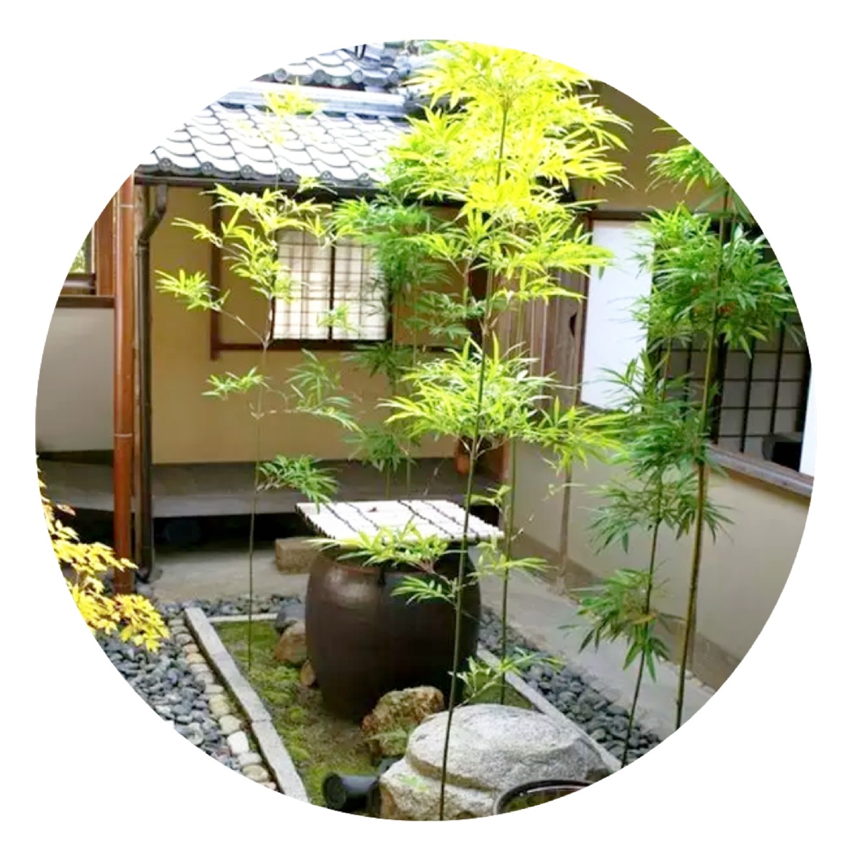 欣赏唯美且静谧的庭院美景