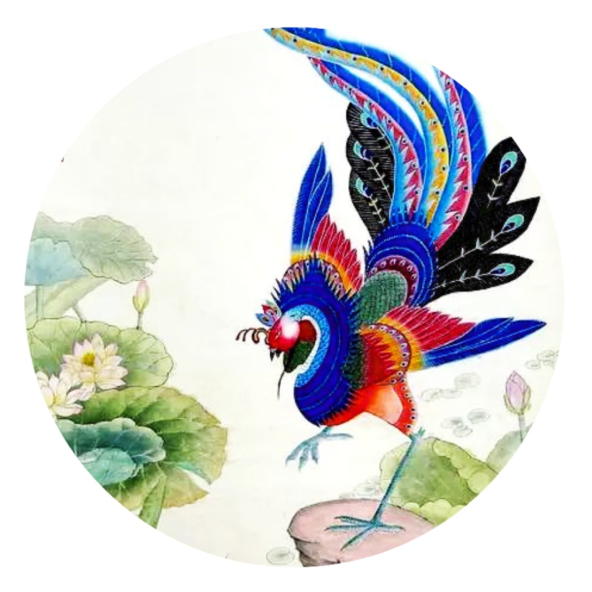 欣赏唯美且吉祥如意的凤凰图