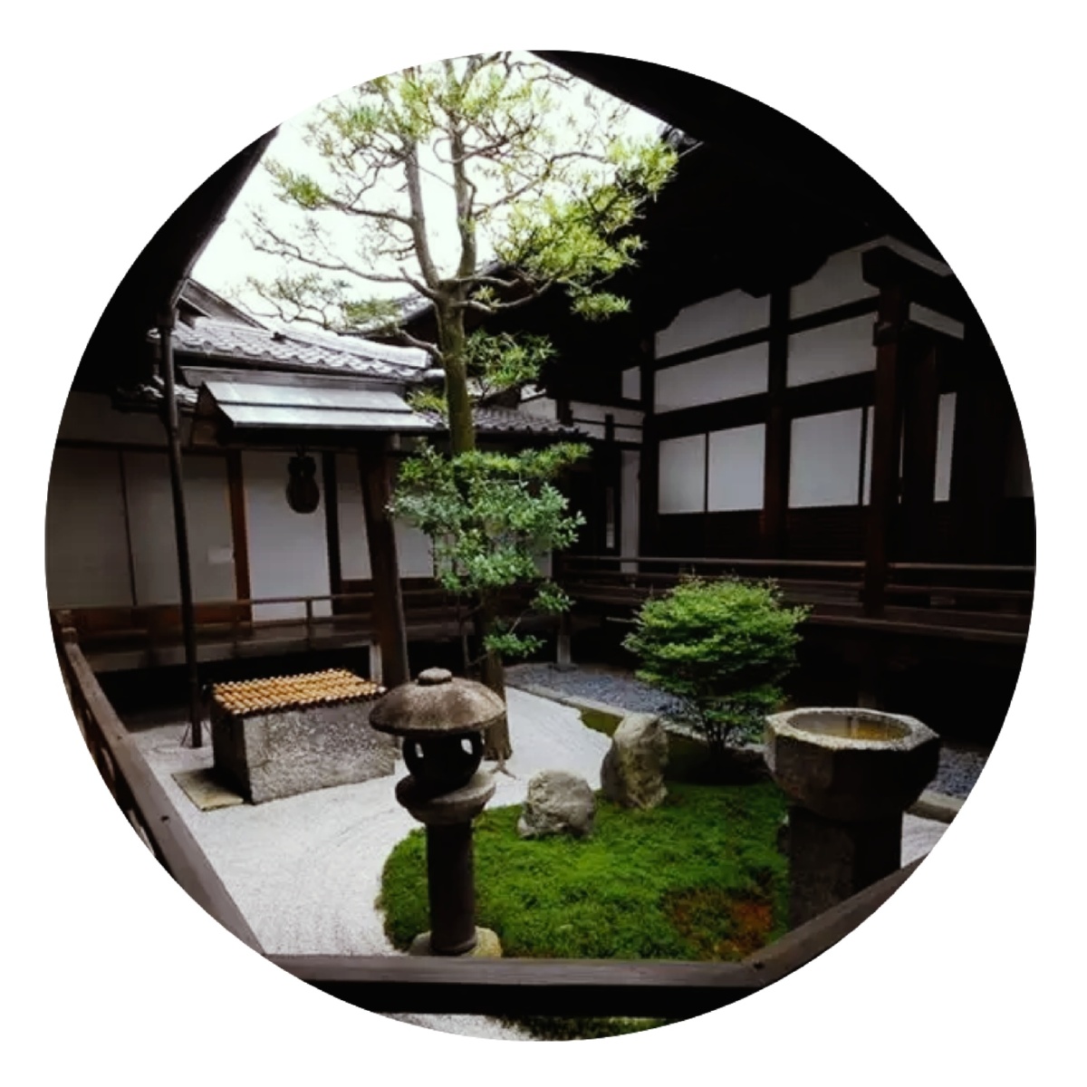 欣赏唯美且静谧的庭院美景