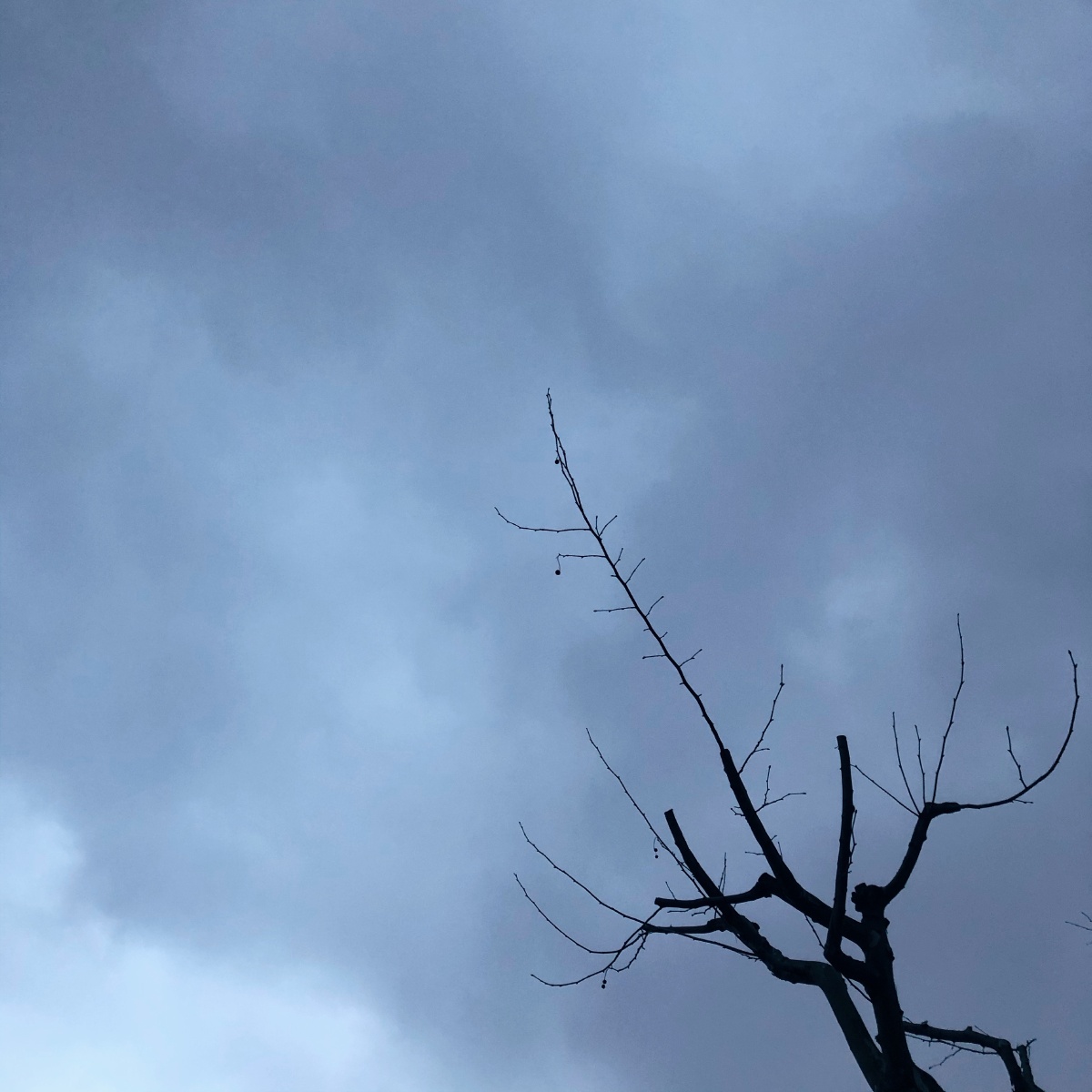 连绵阴雨绵绵不断