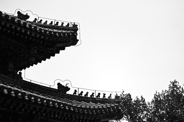 18A39011-A018-4A44-9BC1-1CA4A3A8181F/L0/001