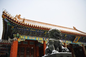 85B72068-2DF4-4231-AB29-A70D11B95F94/L0/001