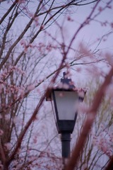 893728FD-1307-42CA-B64A-FF47FD86A95D/L0/001