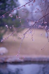 553EF042-F4D8-4210-A781-12284DE24B53/L0/001