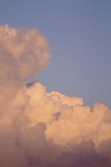 F37AE978-3C7D-4B78-9E7A-1F5EFA8AF200/L0/001