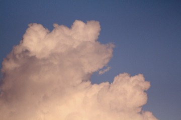 D24F7B3B-E439-49A3-9809-C94F9DB74C18/L0/001
