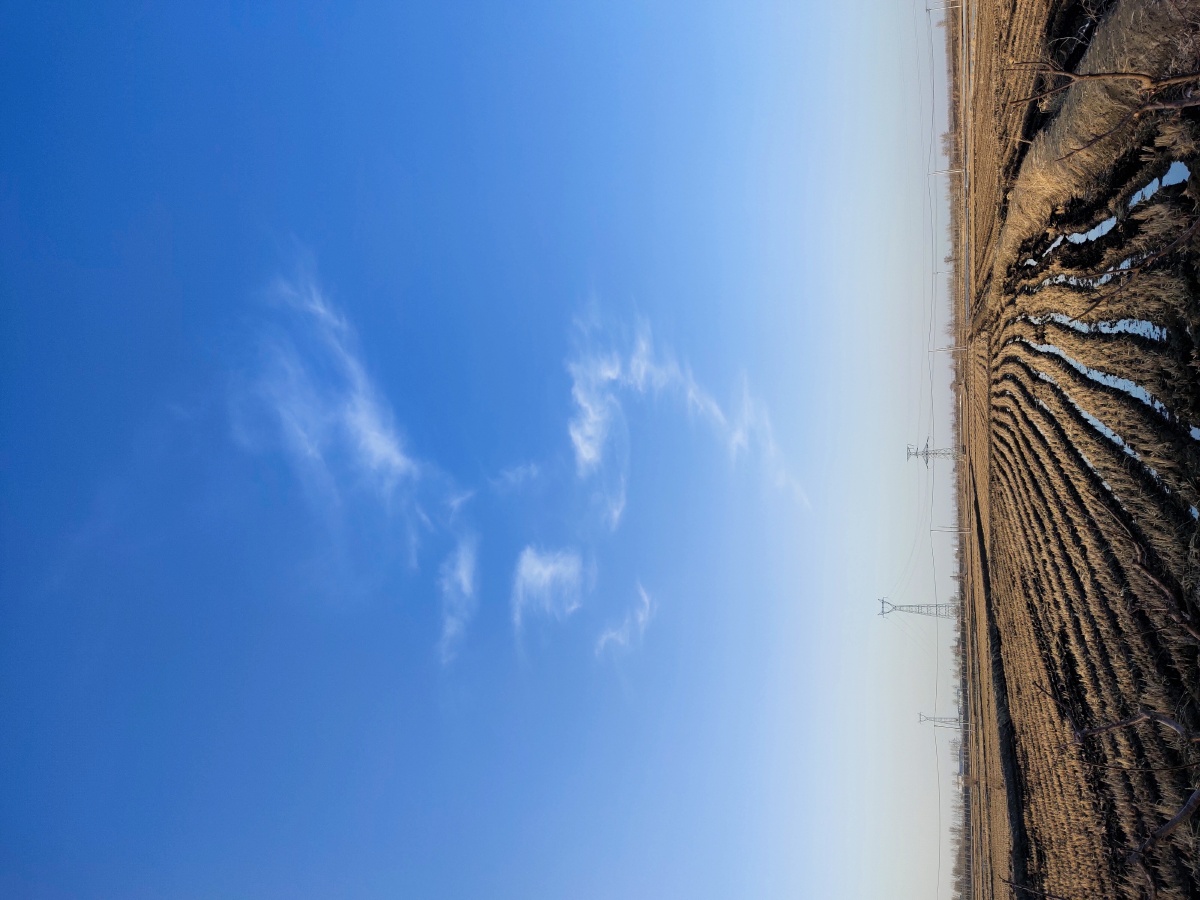 猴子六爱吃肉 - 图虫