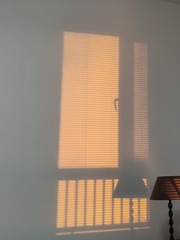1000037669
