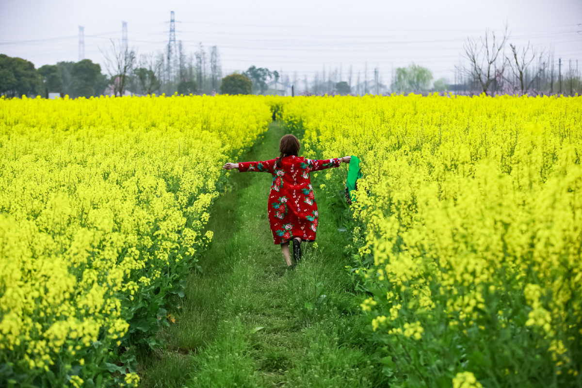 妙有2021年1月30日749关注童年的回忆春天的歌风景花鸟摄影圈江苏摄影