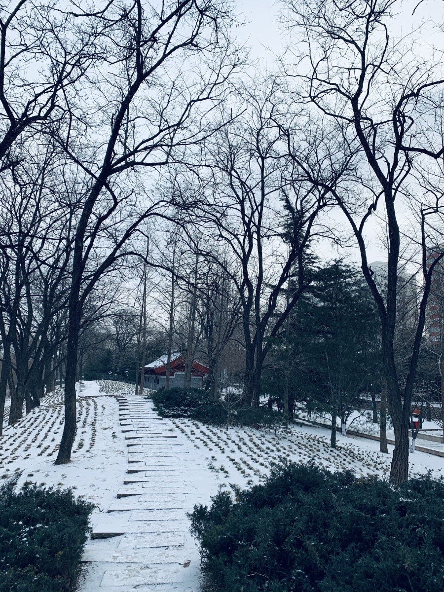 雪后那些小径记北京2021年第一场雪拍摄于北京元大都遗址公园
