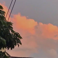 F03E150F-4481-445F-BD67-C9FBD3C20055/L0/001