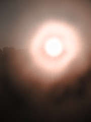 576906