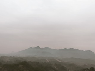 1000012305