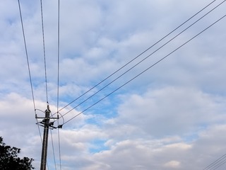 1000009585