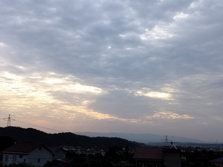 1000009564