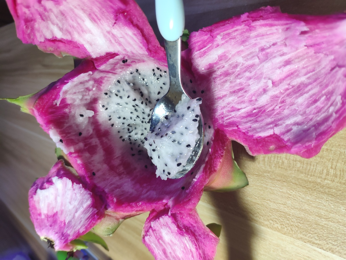 一颗盛开的火龙果05下次争取剥的好看点,嘻嘻07 - 潇轩潇逸