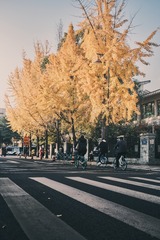 41E971E2-7D8D-4C0C-BB43-0C2A2C838A5A/L0/001