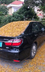 1000091579