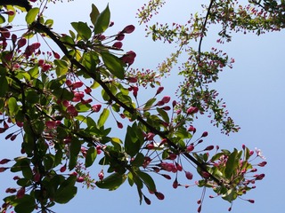 F5E3FB9B-DF27-46B0-B20F-95995EE4D404/L0/001