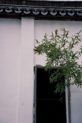 1F23FDBA-E42F-4A14-99BB-63223B7C5283/L0/001