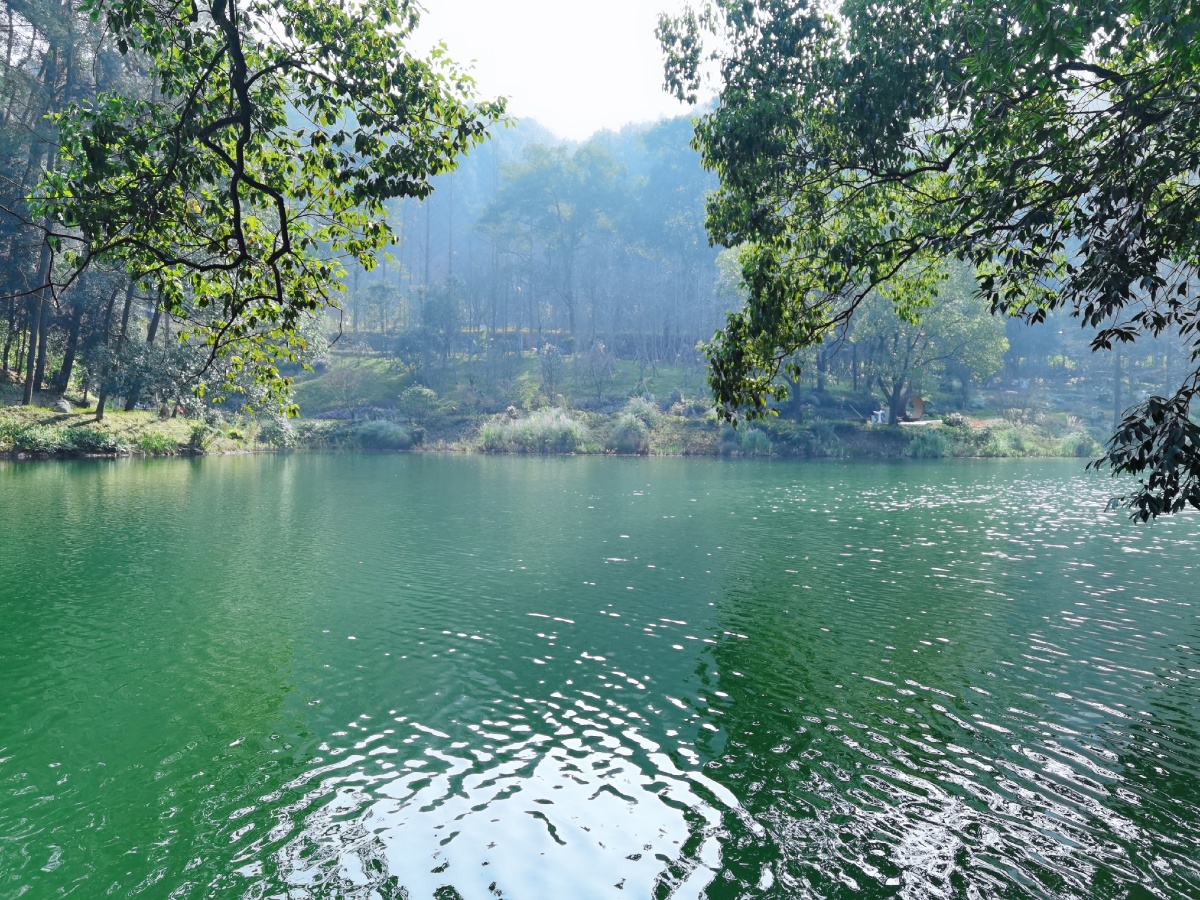缙云山下的黛湖在阳光下美得醉人