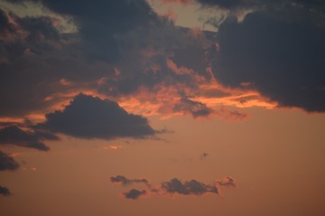 9FD49423-7854-4D42-A558-F795FC00944B/L0/001