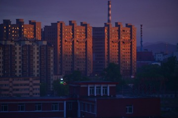 1000059442