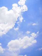 ED8D3D7C-0F1F-484C-A0AD-6C91B048C9F5/L0/001