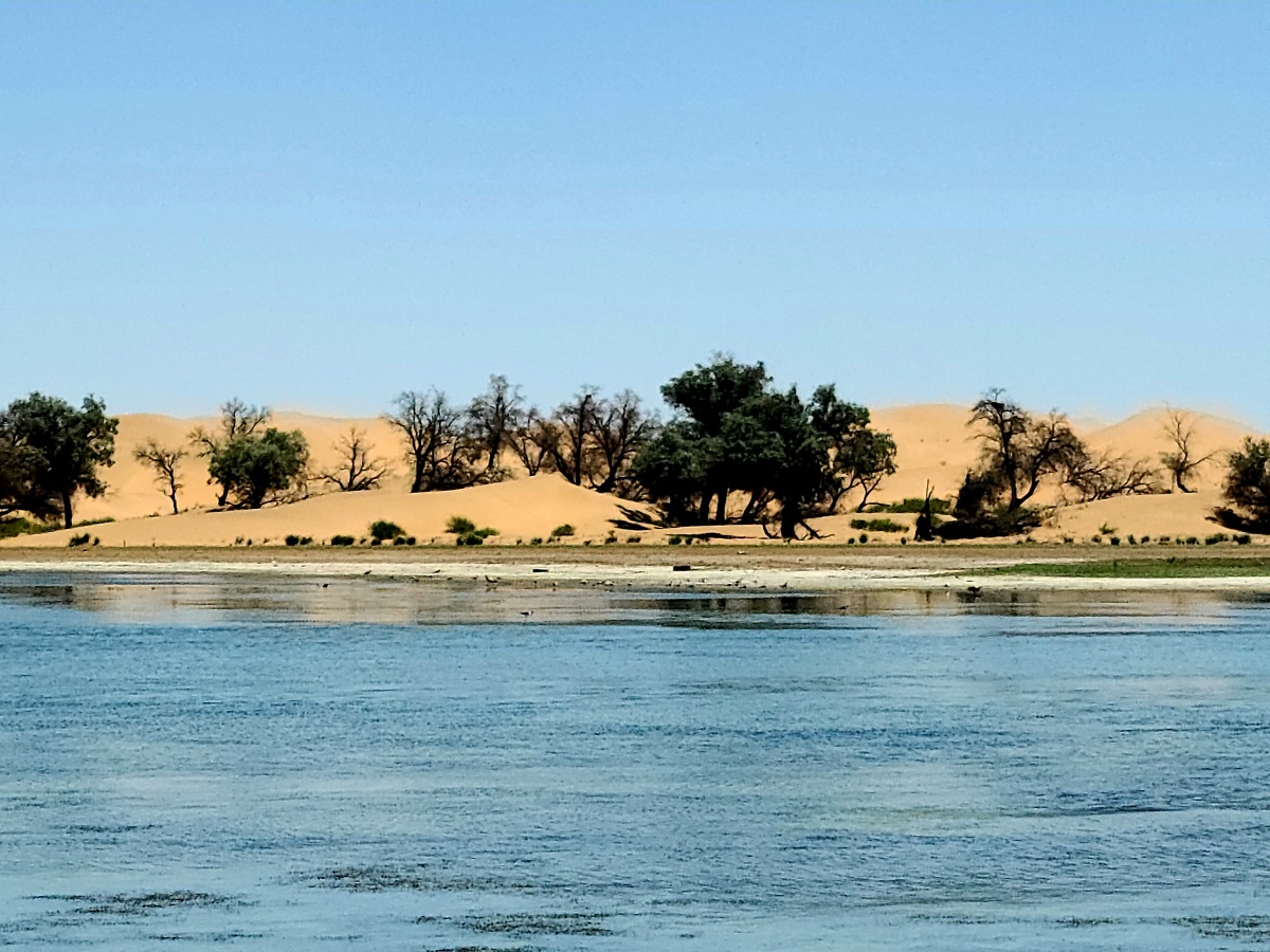 沙漠绿洲腾格里沙漠天鹅湖营地即便是酷暑烈日也阻挡不了前进的步伐