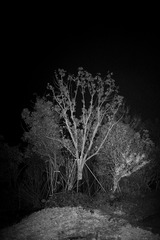6F01E590-A223-4DF2-93E5-5D7E73B84D70/L0/001