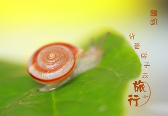 D9EB7387-E16C-4221-A3FA-DF13D4D8CF06/L0/001