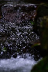 1D07FF95-38A8-4A7A-9789-0CA3D43987D2/L0/001